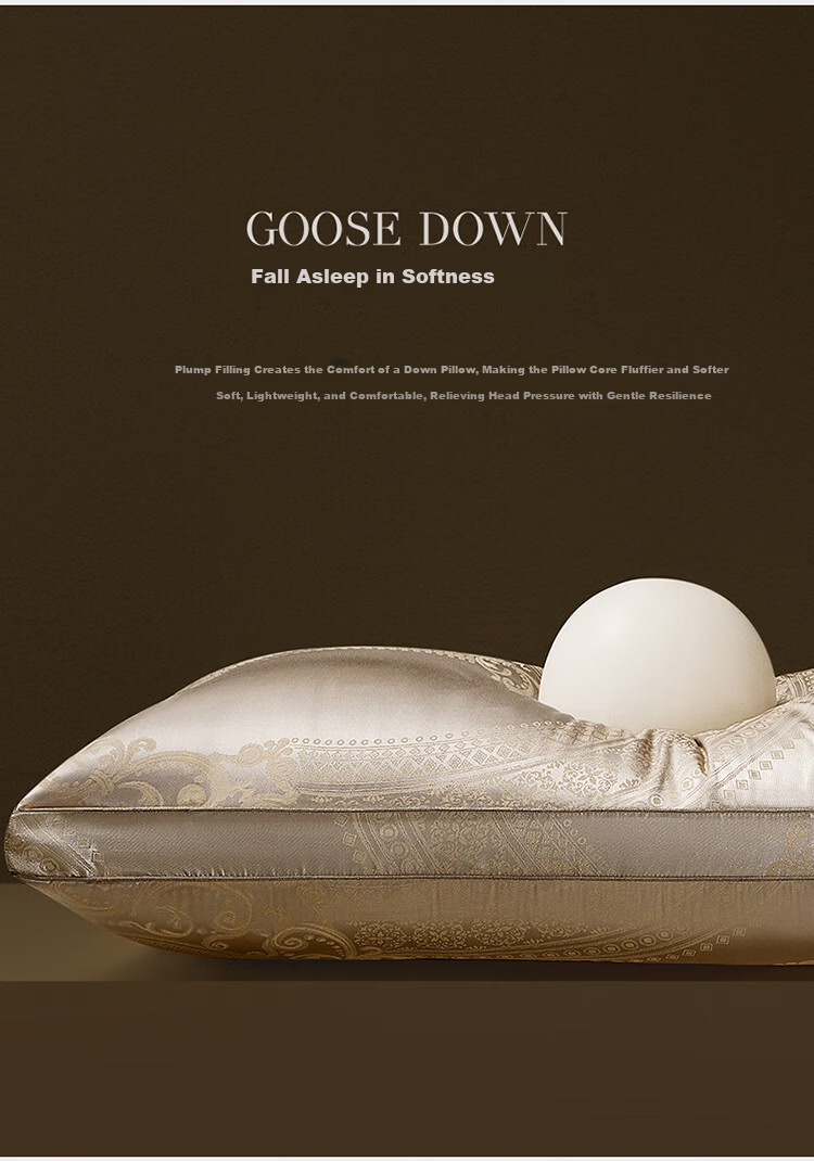 LUOLAI Home Textiles Polish Imported 95% White Goose Down Antibacterial Hotel Seven-Star Pillow 47*73cm 5