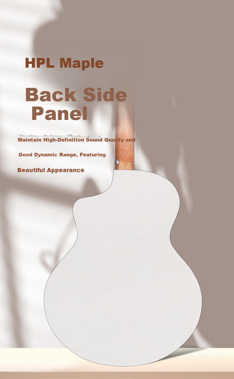 NATASHA Can't Learn to Play Acoustic Guitar, Solar System Mercury Collector's Edition HPL Complete Beginner's Guide for Adults 8