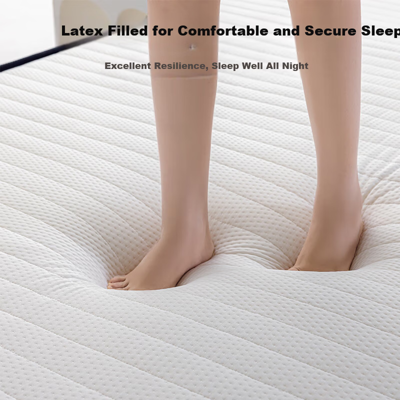 SOMERELLE Latex Mattress Cover Pad 1.2x2m Tatami Mattress Student Dormitory Single Mattress Pad
