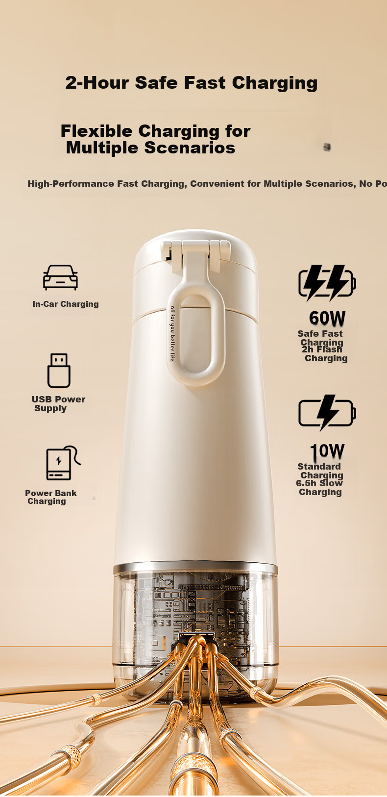 Beingmate Thermostatic Portable Baby Water Bottle Insulated Kettle Sterilizer Baby Milk Warmer 6