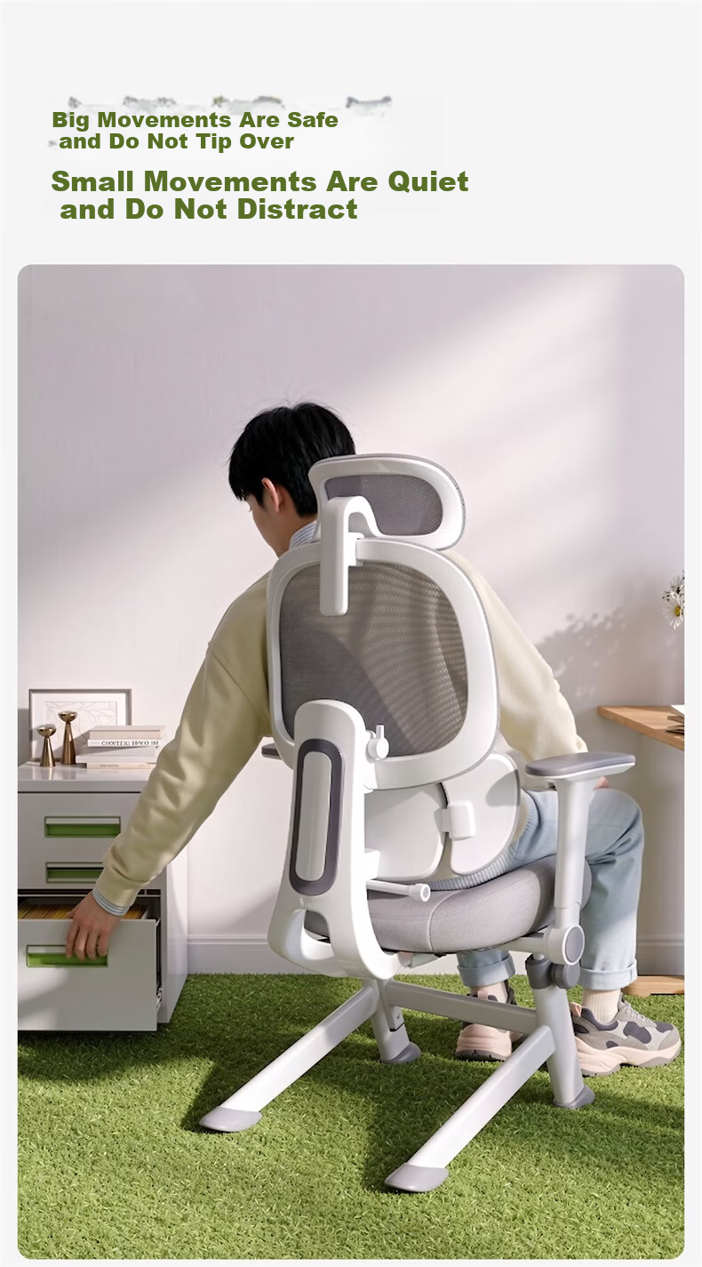 Xige X19ypro Ergonomic Study Chair Desk Chair Computer Chair for High School Students Youth Home Writing Desk Chair 22