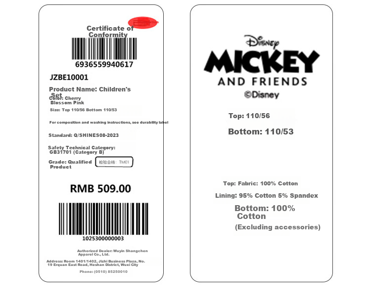 Disney Baby Girls' Two-Piece Set Sweatshirt and Sweatpants Casual Sportswear Spring Dreamy Purple 120cm 19
