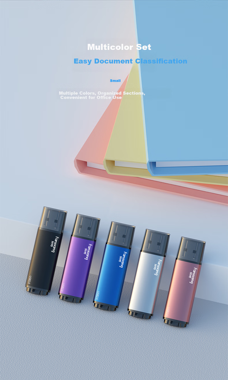 FANXIANG 32GB USB 2.0 Mini Portable Metal USB Flash Drive for Professional Bidding, Car Computer, Enterprise Use, Colorful 10-Pack F202 5