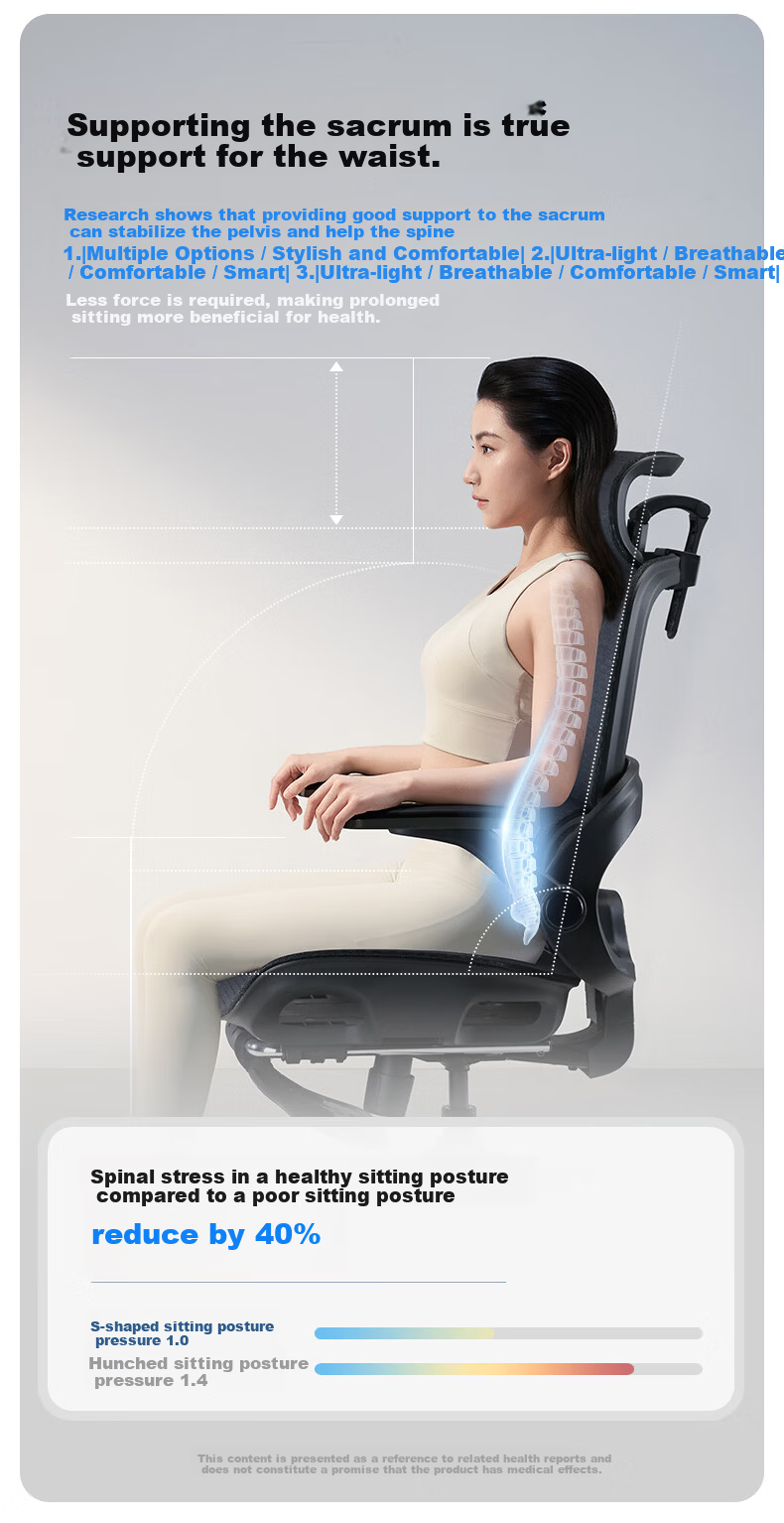 Sihoo B100Pro Ergonomic Office Chair Computer Chair Human Engineering Seat Gaming Chair with 4D Adjustable Armrests 4