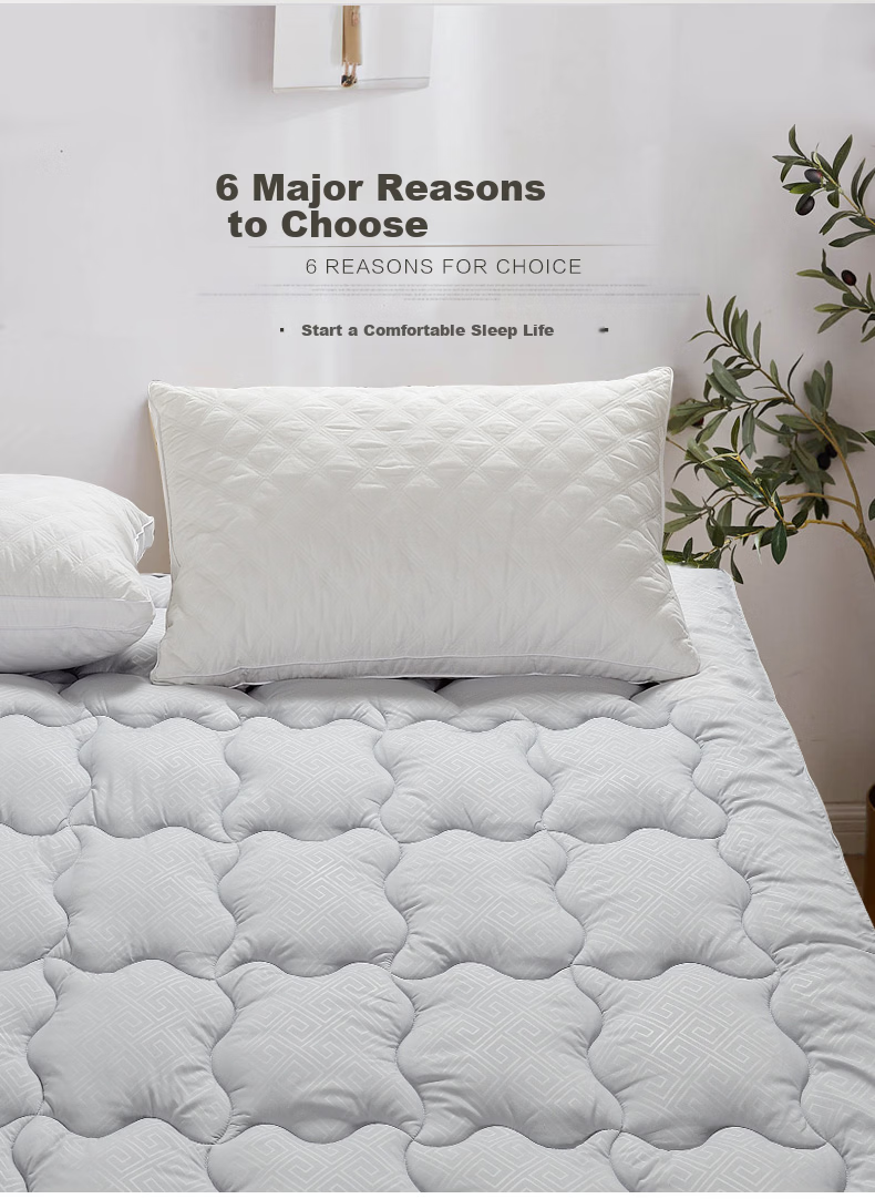 Fuanna Mattress Protector Non-Slip Thickened Washable Mattress Pad Single Tatami Mat 120x200cm 3