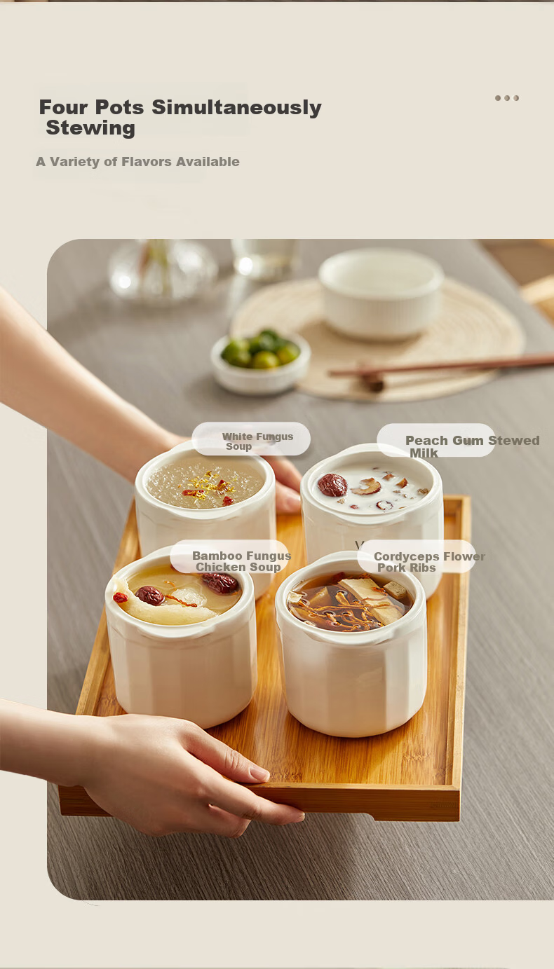 SUPOR Electric Stew Pot, Water Bath Stewing Cooker, Household Porridge and Soup Pot, Bird's Nest Stew Pot with White Ceramic Inner Pot, Steaming and Stewing DZ25FC859 2.5L Multifunctional Cooker 13