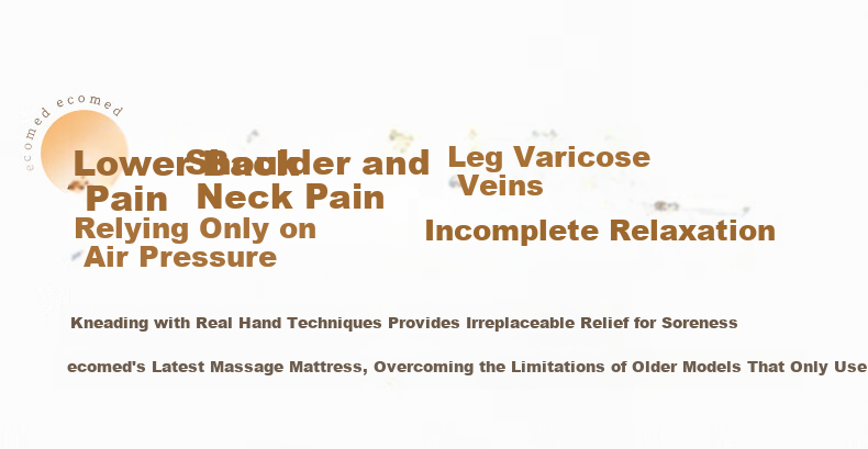 Ecomed German Full Body Massage Mat Recliner Home Massage Bed Shoulder Neck Waist Back Leg Massager Gift for Parents Elders Practical Birthday Present 3