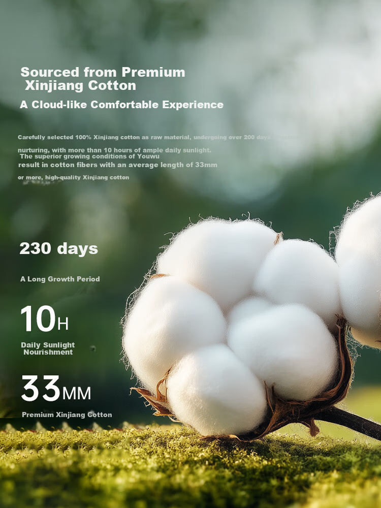 CROWN 60-Thread Count Pure Cotton Quilt Cover Single Piece A-Class Student Dormitory Single Cotton Bedding 1.5m x 2m Bed Sheet and Quilt Cover 2