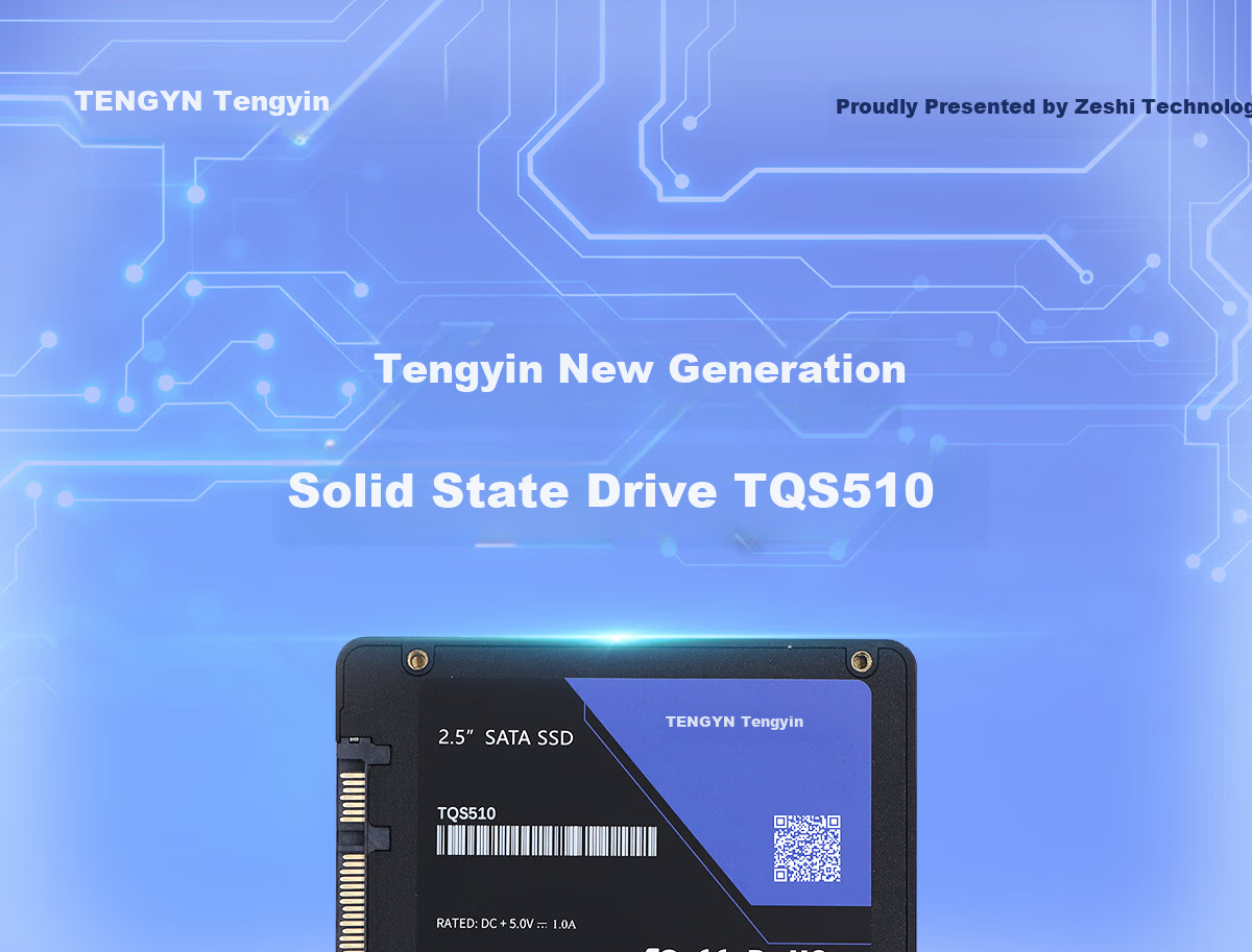 Tengyin Desktop Laptop SATA 3.0 Interface SSD Solid State Drive TQS510 1TB 1