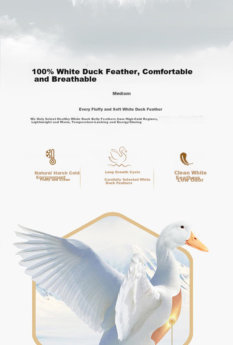 Yuanshenghuo Anti-Drilling down White Duck Feather Comforter Duvet Insert All Seasons Double Size Feather Quilt 7 Jin (3.5 Kg) 200*230cm White 3