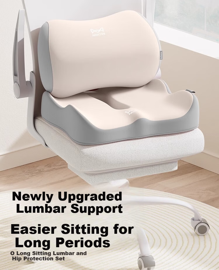 MiiOW Office Lumbar Support Cushion for Chair Backrest, Waist Pillow for Office Chair, Student and Pregnant Women Long Sitting Back Support Pad 2