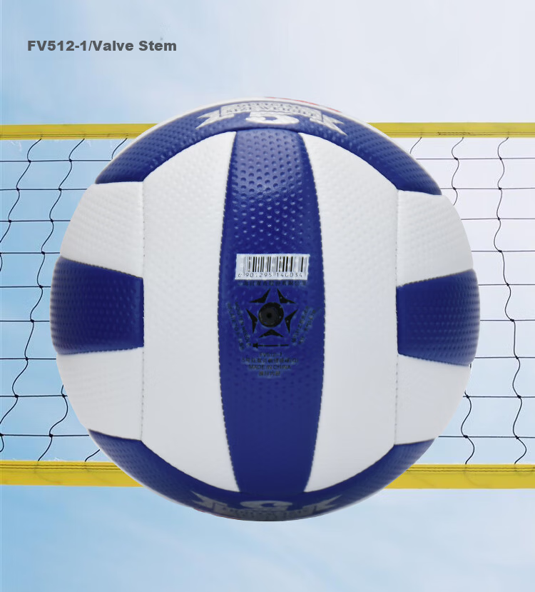 DHS FV512 Official Match Volleyball No.5 for Middle School Exam Training, Children and Students Unisex 13
