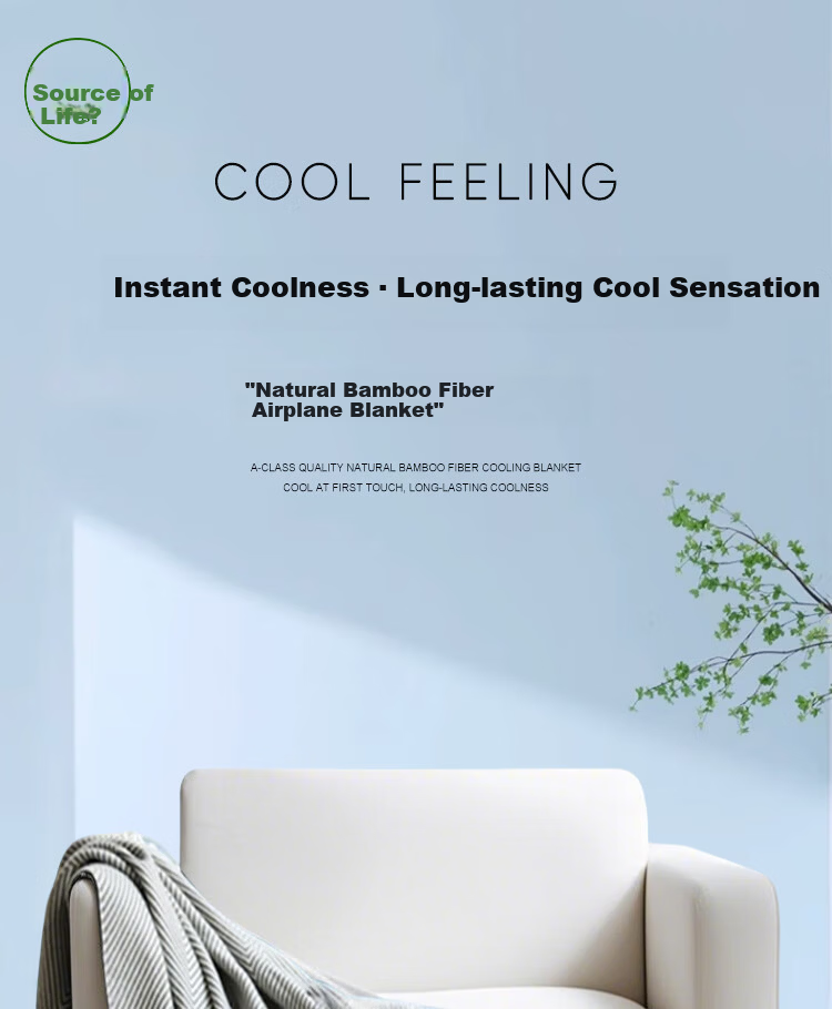 Yuanshenghuo Flannel Air Conditioning Blanket, Office Throw Blanket, Summer Aviation Blanket, 100*120cm, Approximately 500g, Light Gray 1