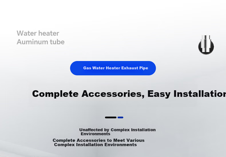 Beishi Stainless Steel Smoke Pipe Forced Exhaust Gas Water Heater Extension Pipe Chimney Pipe Accessories Diameter 60mm Length 30cm Straight Pipe 15