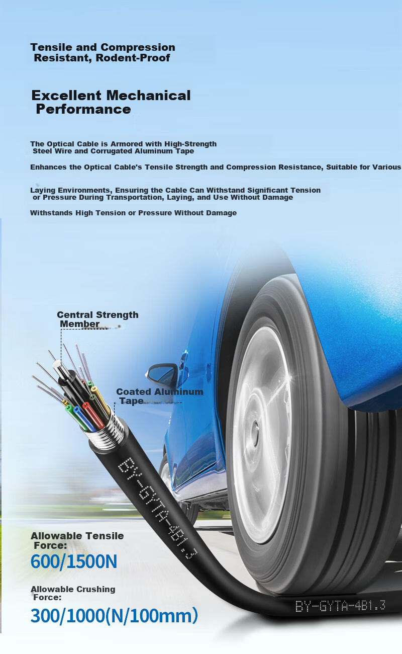 BOYANG GYTA Armored Single-Mode Outdoor Optical Cable 4-Core Communication Fiber Optic Cable Rodent-Resistant Layer-Stranded Outdoor Aerial/Pipeline 1 Meter BY-GYTA-4B1.3-1M 5