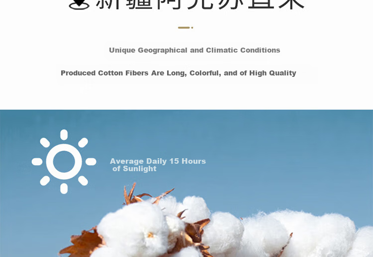 ZiiU White Hotel Pillowcases 60s Xinjiang 100% Cotton Guesthouse Hotel Hospital Pillowcase Pair 48x74cm 3