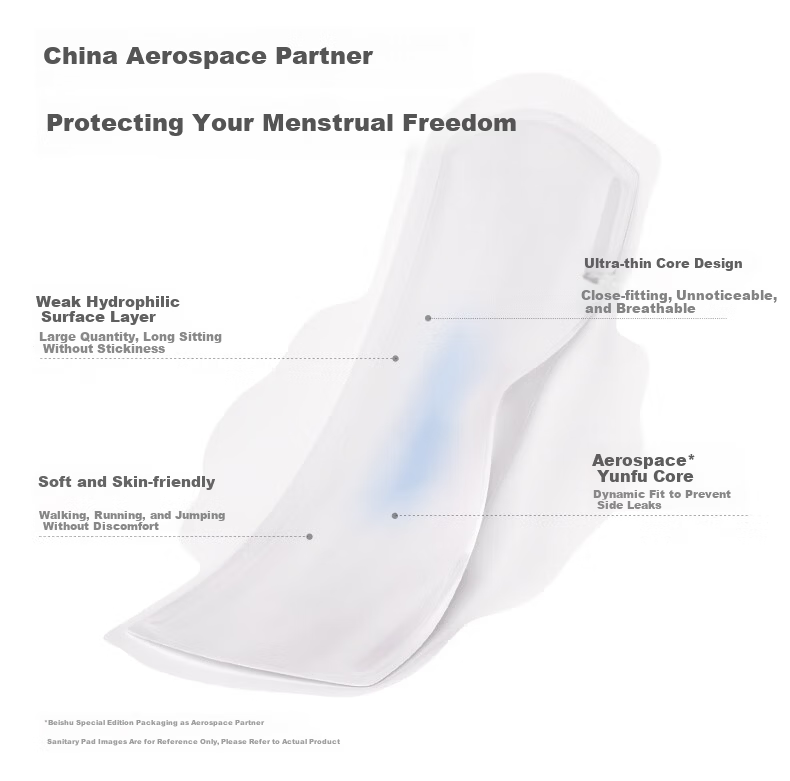 Beishute China Aerospace Co-branded Ultra Absorbent Ultra Thin Instant Absorption Cotton Soft Daily Sanitary Pads 290mm 22 Pieces 4