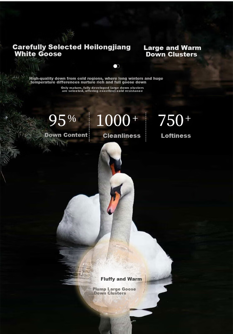 Yuan Life 95% White Goose Down Quilt Four Seasons Spring and Autumn Double Down Comforter Filled 1000g 200*230cm 2