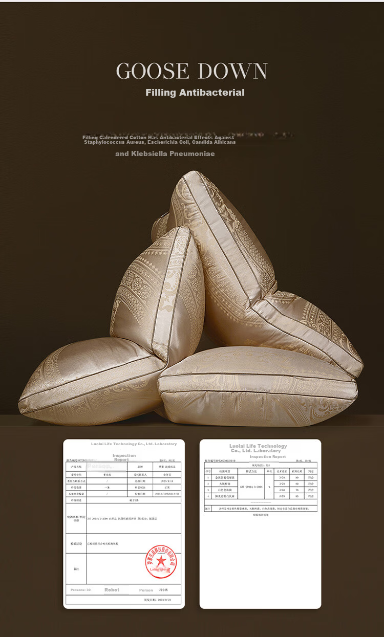 LUOLAI Home Textiles Polish Imported 95% White Goose Down Antibacterial Hotel Seven-Star Pillow 47*73cm 9