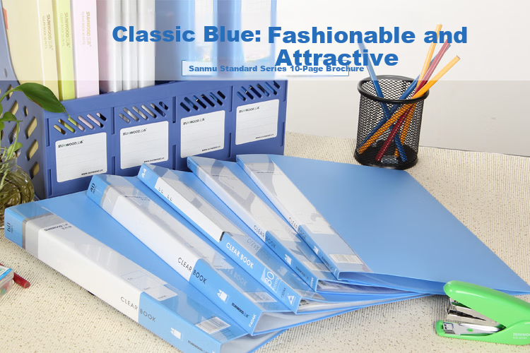 SUNWOOD 100-Page Standard Document Binder/Loose-Leaf Storage Binder/Insert Pocket File Folder/Slant Inner Pocket Office Supplies Blue F100AK-1 1