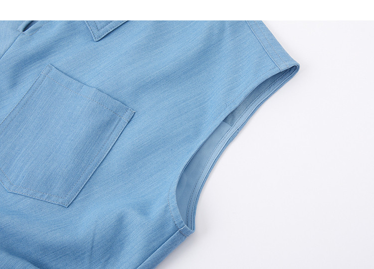 Demana [Dreamy Blue] Summer Elegant Lapel Sleeve Pleated Waist Slimming A-Line Dress for Women High-End Feel 13