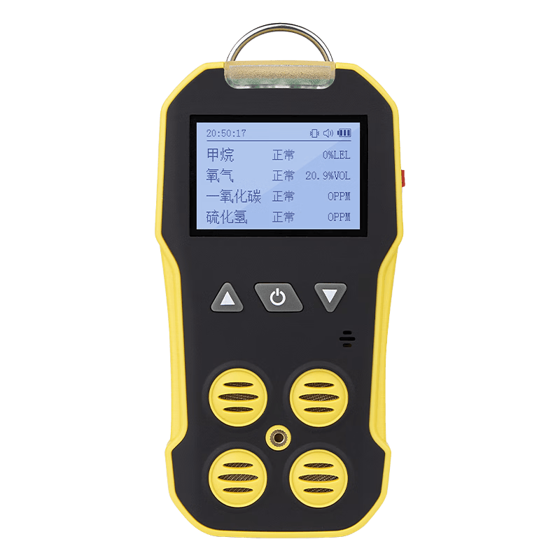 Bosian Four-in-One Gas Detector Methane Leak Portable Combustible Gas Detection Alarm BH-4A Black and White Screen