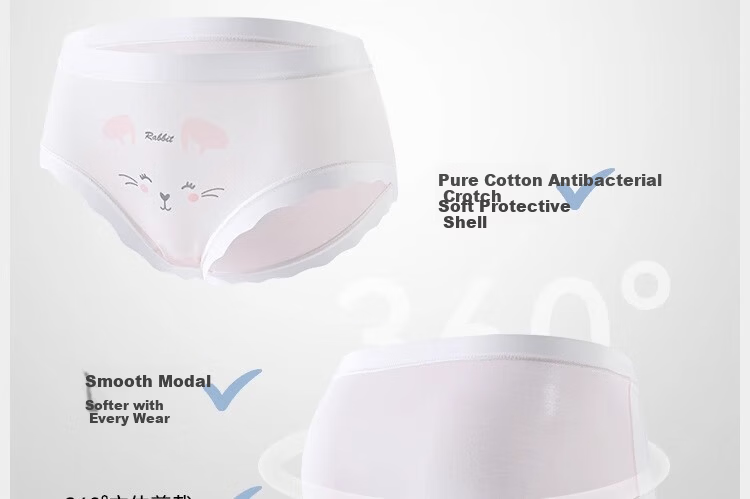 LangSha Kids Girls Modal Briefs Soft Antibacterial Breathable Seamless Underwear for Spring and Autumn 8