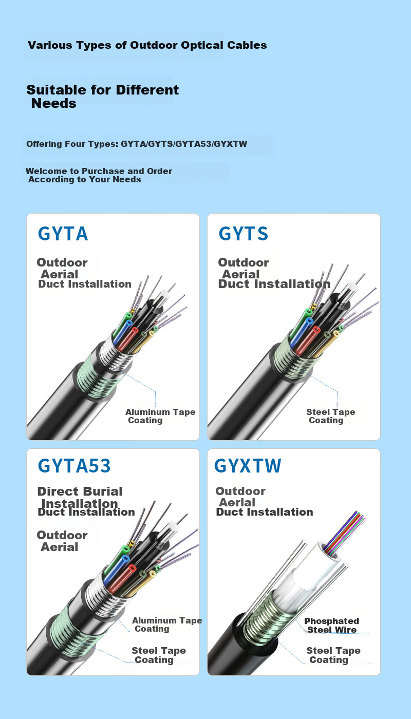 BOYANG GYTA Armored Single-Mode Outdoor Optical Cable 4-Core Communication Fiber Optic Cable Rodent-Resistant Layer-Stranded Outdoor Aerial/Pipeline 1 Meter BY-GYTA-4B1.3-1M 12