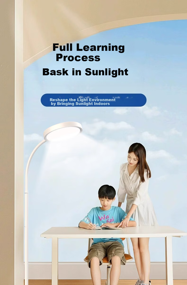 Boraer Outdoor Floor Eye Protection Full Spectrum Desk Lamp Study Reading Lamp Bedside Piano Lamp Standing Study Room Lamp 3