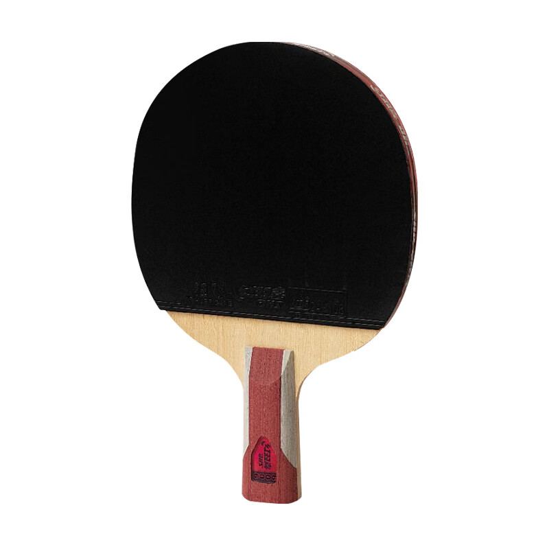 DHS Kuangbiao Six-Star Table Tennis Paddle, Straight Handle, Reverse Rubber, Combination of Looping And Fast Attack, F6006, Includes Racket Case