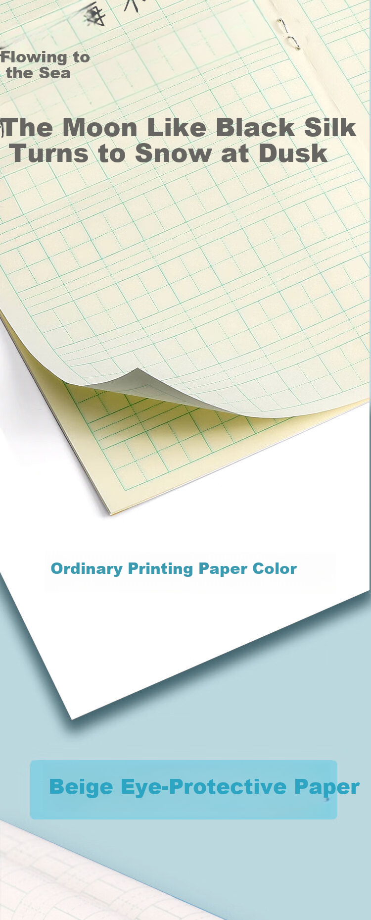 TRUECOLOR 36K Exercise Book National Standard Practice Copybook Full Set Chinese Writing Book Kindergarten Handwriting Grade 1-2 Copybook 10-Pack ZCW-1076 7