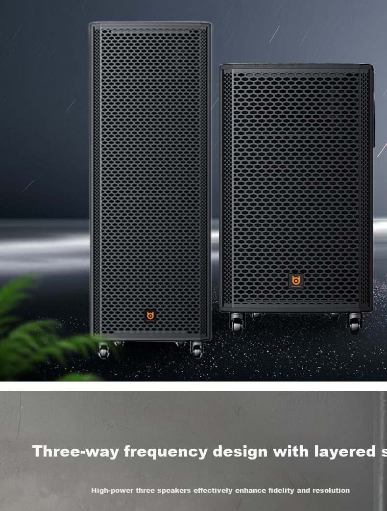 Beide BD-H0879 8-Inch High-Power Trolley Bass Outdoor Portable Square Dance Speaker 5