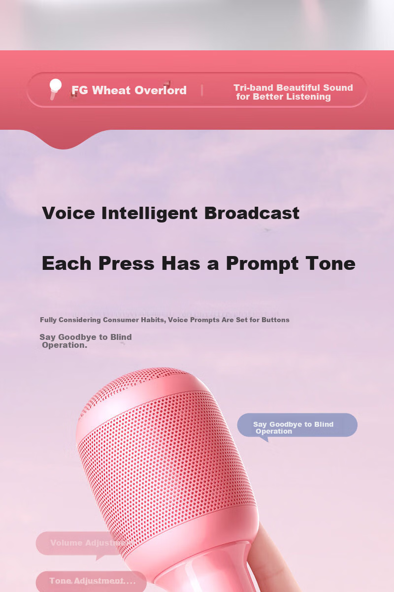 SANSUI F6 Wireless Bluetooth Microphone Speaker All-in-One KTV Home Karaoke Microphone for Kids Mobile Phone TV 6