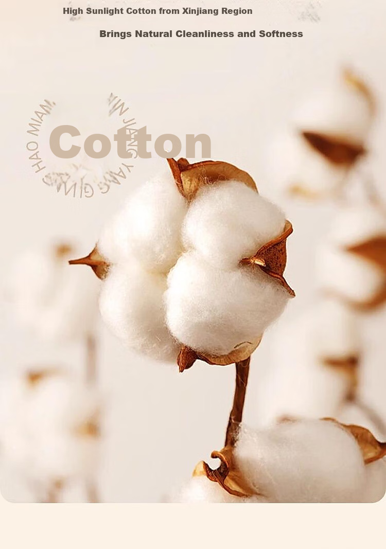Bellees Home Textile Cotton Quilt 100% Xinjiang Cotton Class A Antibacterial Thickened Autumn Winter Quilt Approx. 3.6 Jin 150*210cm 6