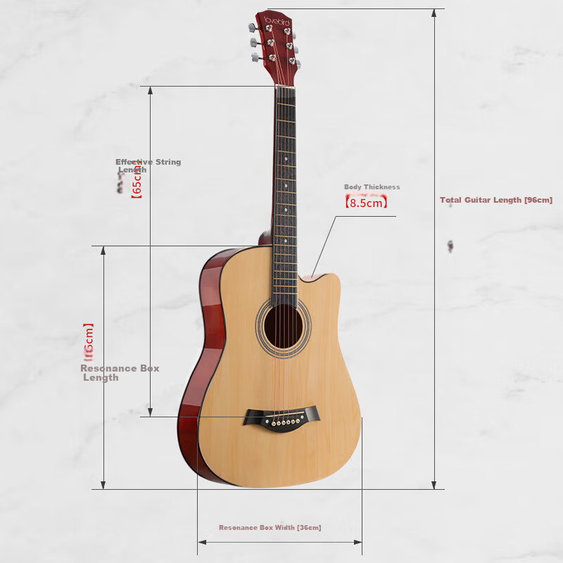 Acacia Bird 38-Inch Acoustic Guitar Beginner Entry-Level Male and Female Instrument Glossy Natural Wood Color