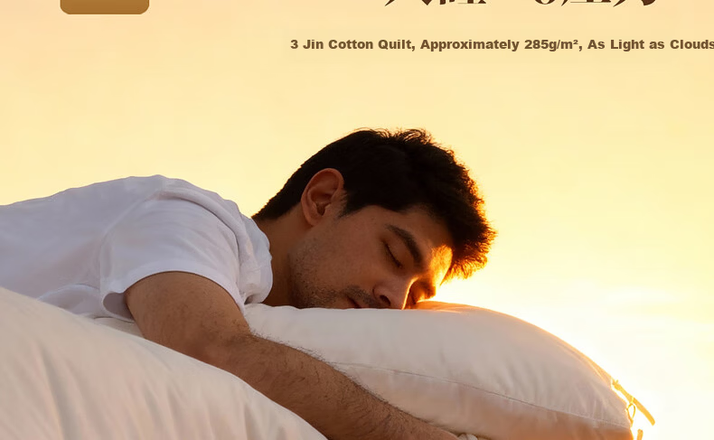 Mercury Home Textile Cotton Quilt Cotton Comforter Core Pure Cotton Class A Xinjiang Cotton Double Approximately 5 Jin 200x230cm 24