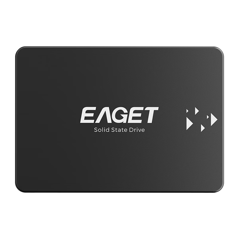 EAGET 256GB SATA 3.0 SSD 550MB/s High-Speed Solid State Drive for Desktop/Laptop S205L with Premium Original Chips