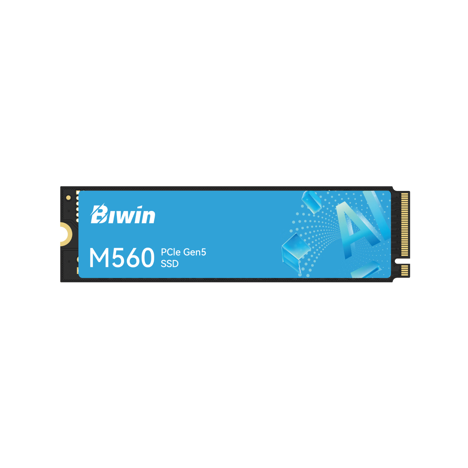 BIWIN 2TB M.2 NVMe SSD M560 Series PCIe 5.0 11000MB/s AI PC Storage Accessory