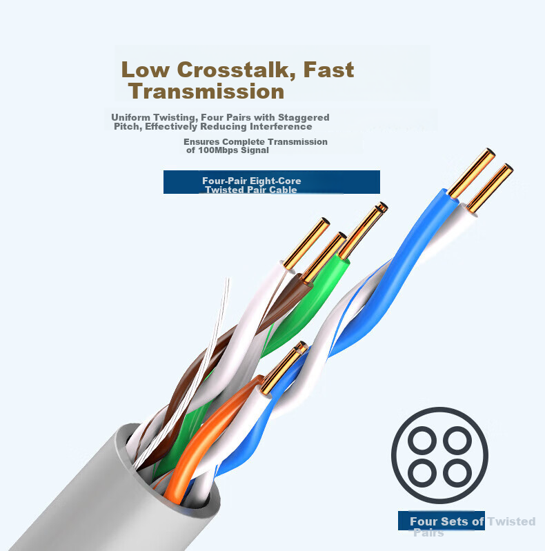 Datang Bodyguard Cat5e UTP Network Cable (Engineering Grade 0.48±0.02) Oxygen-Free Copper Core, Unshielded Twisted Pair, 305m DT2905E 5