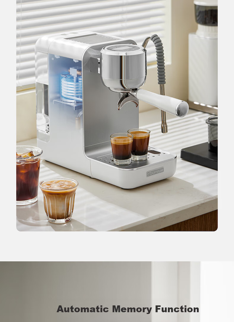 Kepura CP239 Espresso Coffee Machine Semi-Automatic Professional Home Office Small Steam Milk Frother Hot and Cold Dual Extraction 20