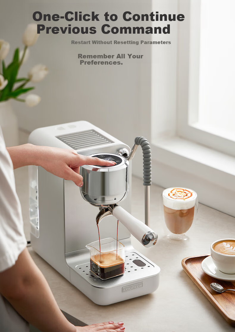 Kepura CP239 Espresso Coffee Machine Semi-Automatic Professional Home Office Small Steam Milk Frother Hot and Cold Dual Extraction 21