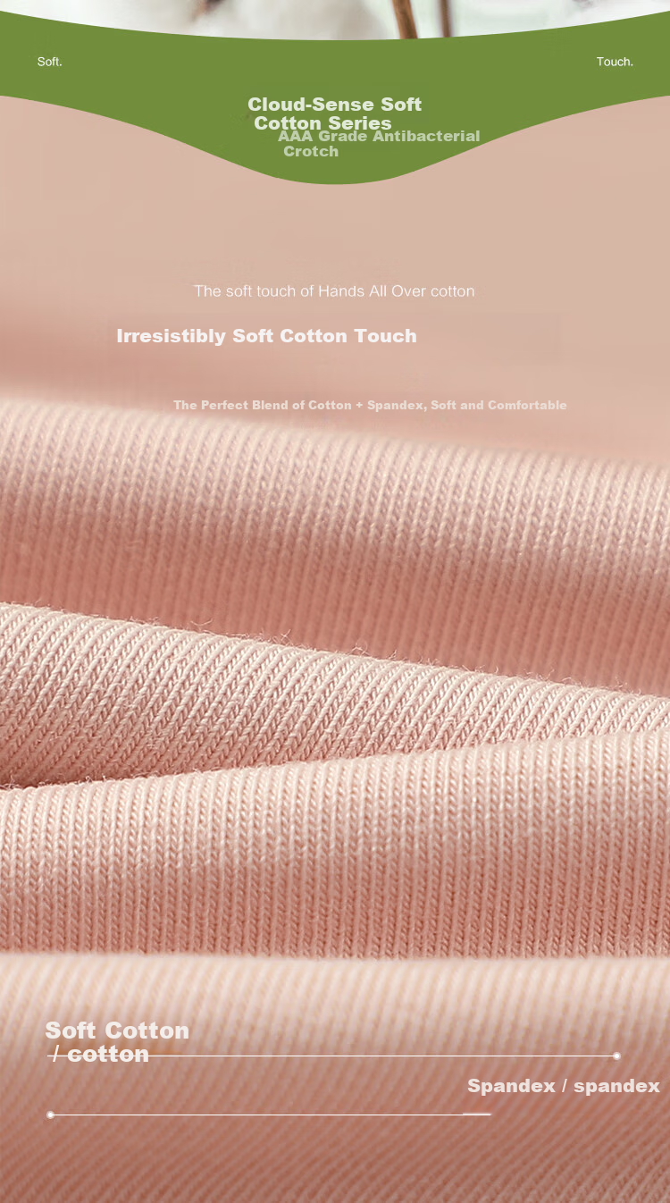 Hongdou Women's Antibacterial Cotton Spandex Breathable Stretchy Triangle Underwear 4-Pack Set 160 4