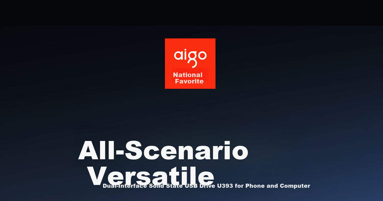 Aigo 1TB Solid State USB Flash Drive Dual Interface for Mobile and PC Type-C/USB3.2 520MB/s High-Speed U393 Large Capacity USB Drive 1
