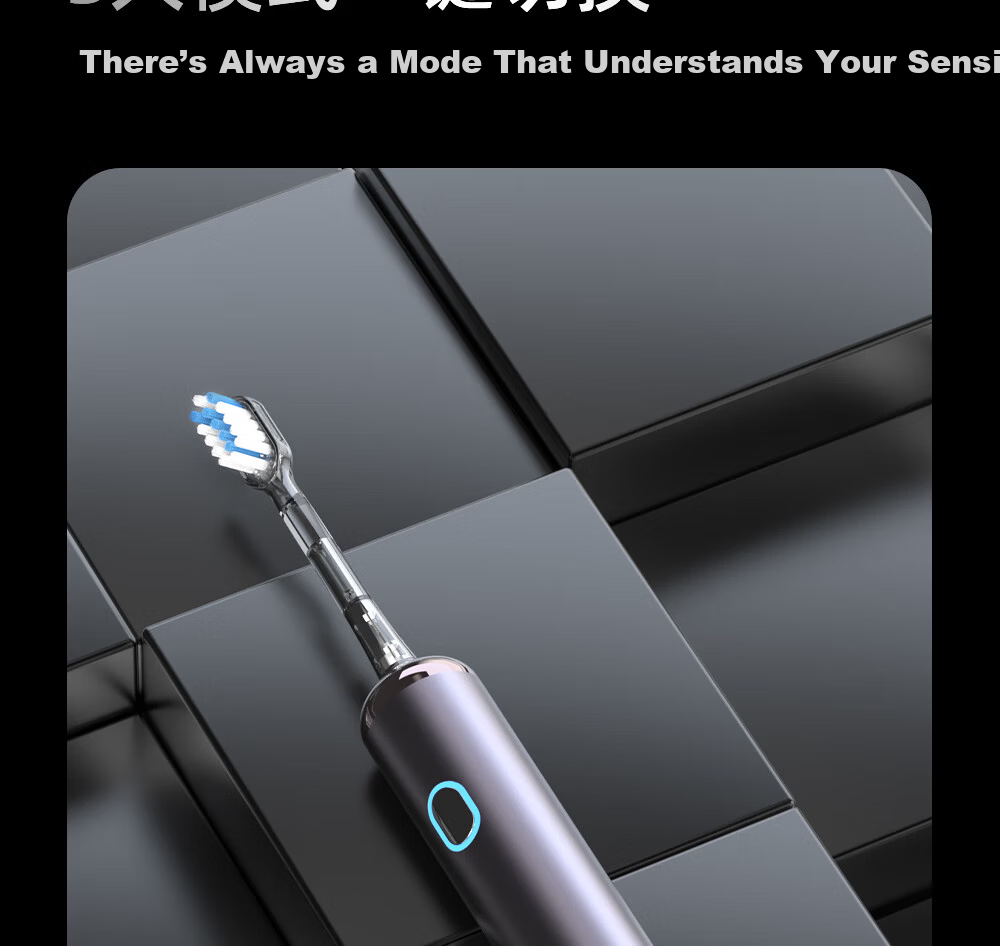 Prooral Sonic Vibration Electric Toothbrush for Adults Rechargeable Couples Gift LS-1 Silver Birthday Present 10