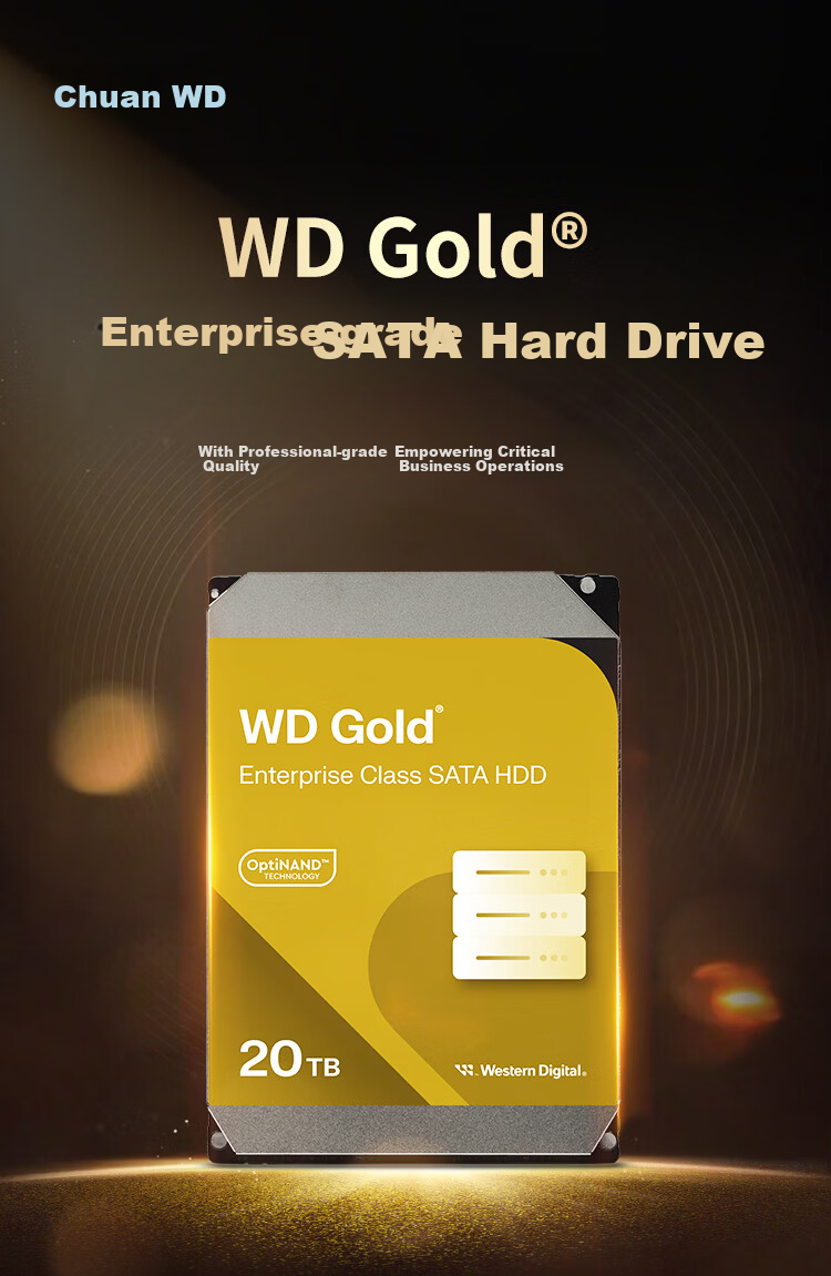 Western Digital 20TB Enterprise Mechanical Hard Drive WD Gold SATA 7200RPM 512MB CMR Vertical 3.5-inch Server HDD WD203KRYZ 1