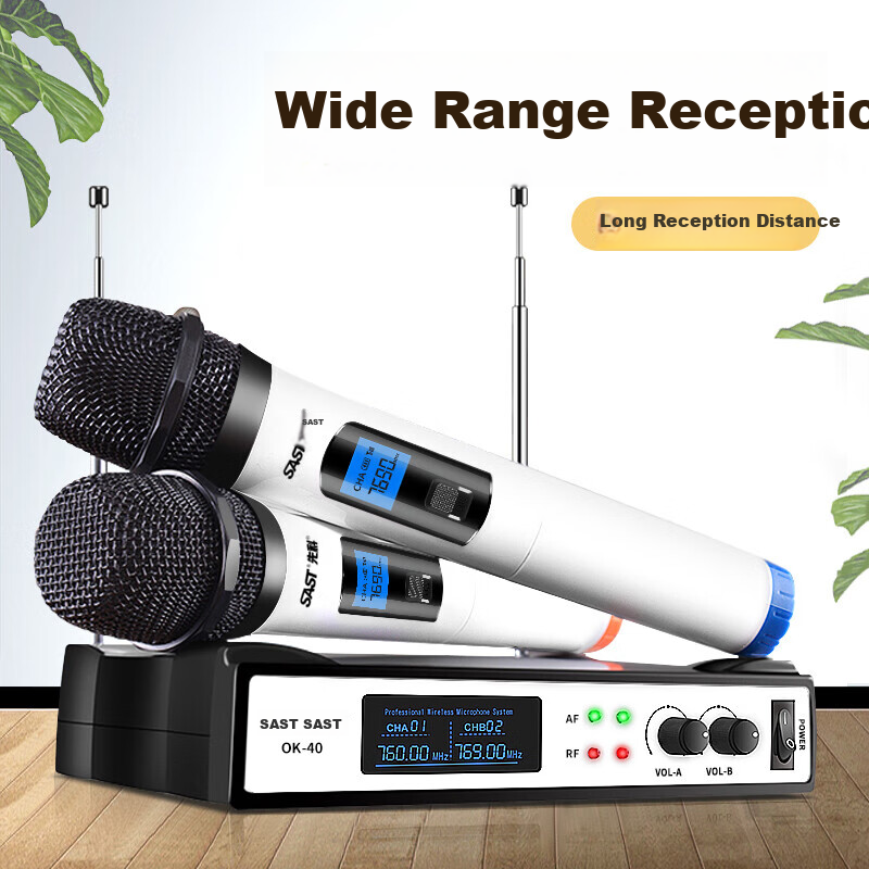 SAST OK-40 Wireless Microphone Dual Channel Home KTV Singing Stage Conference Host Speech Car Computer Outdoor Live Streaming Speaker Microphone System