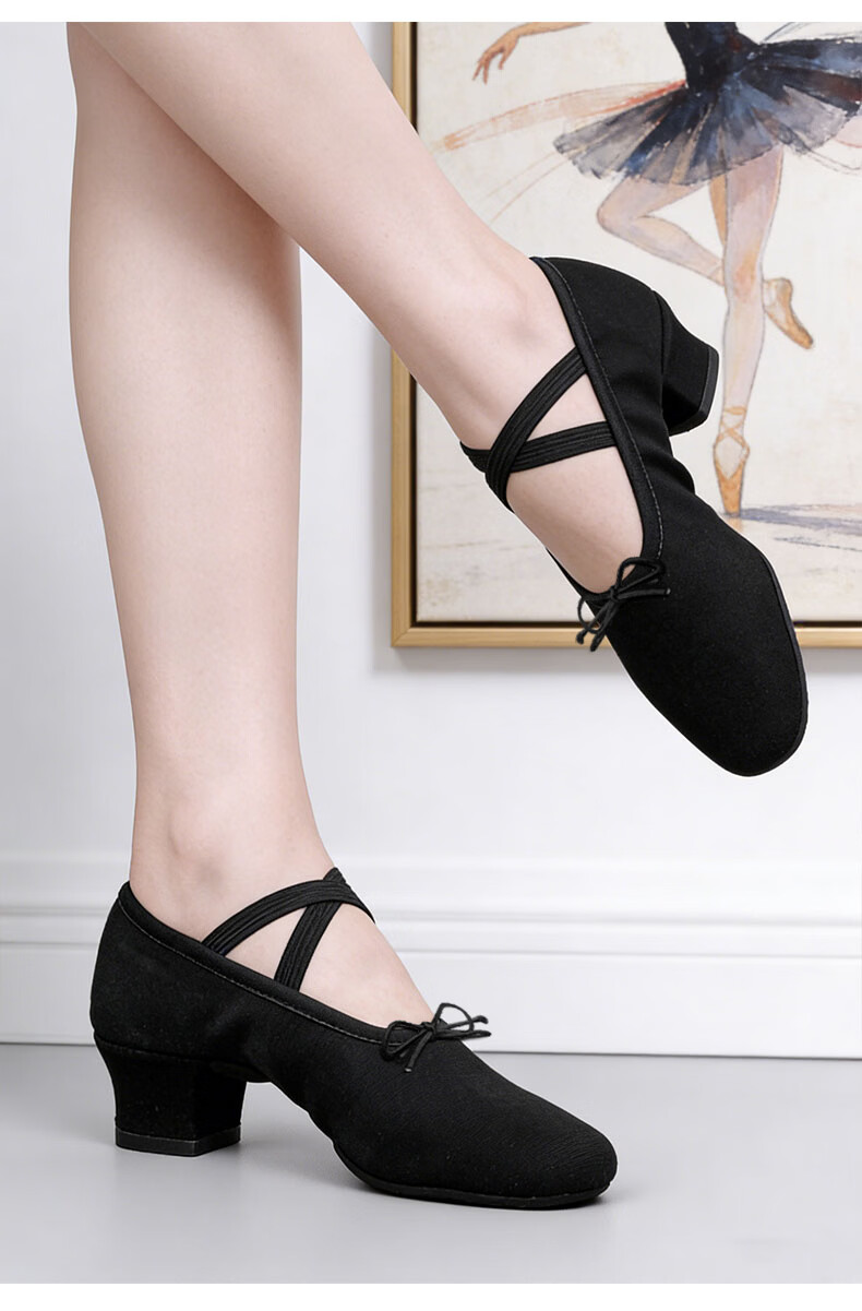 SooGree Dance Shoes with Soft Sole Canvas Teacher Shoes Belly Dance Shoes Posture Etiquette Training Shoes Adult Ballet Shoes 7
