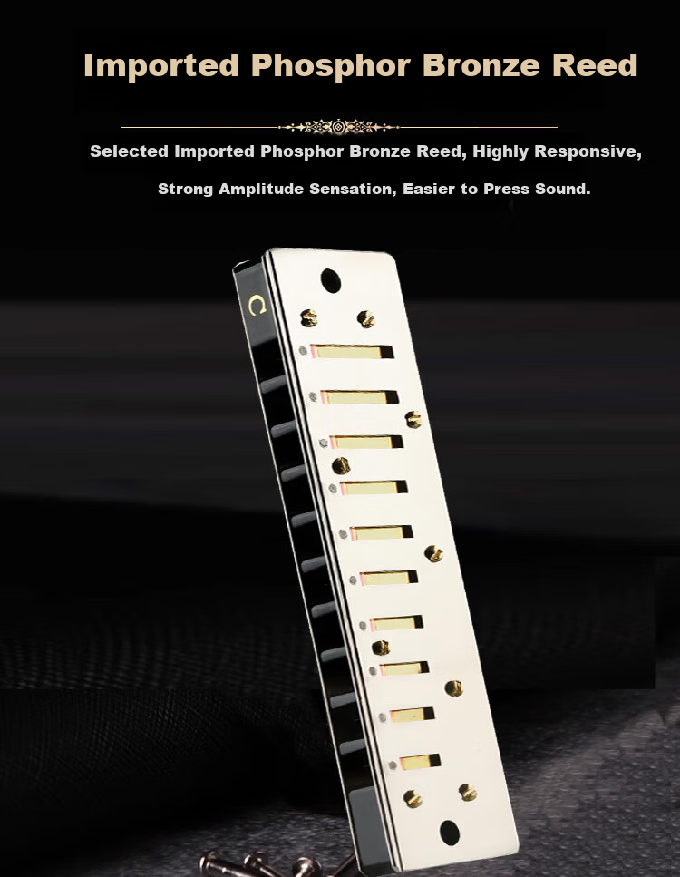 Guoguang 10-Hole Collector's Edition Blues Imported Reed Harmonica (Silver, Copper Reed Plates, Glasses Case) 6