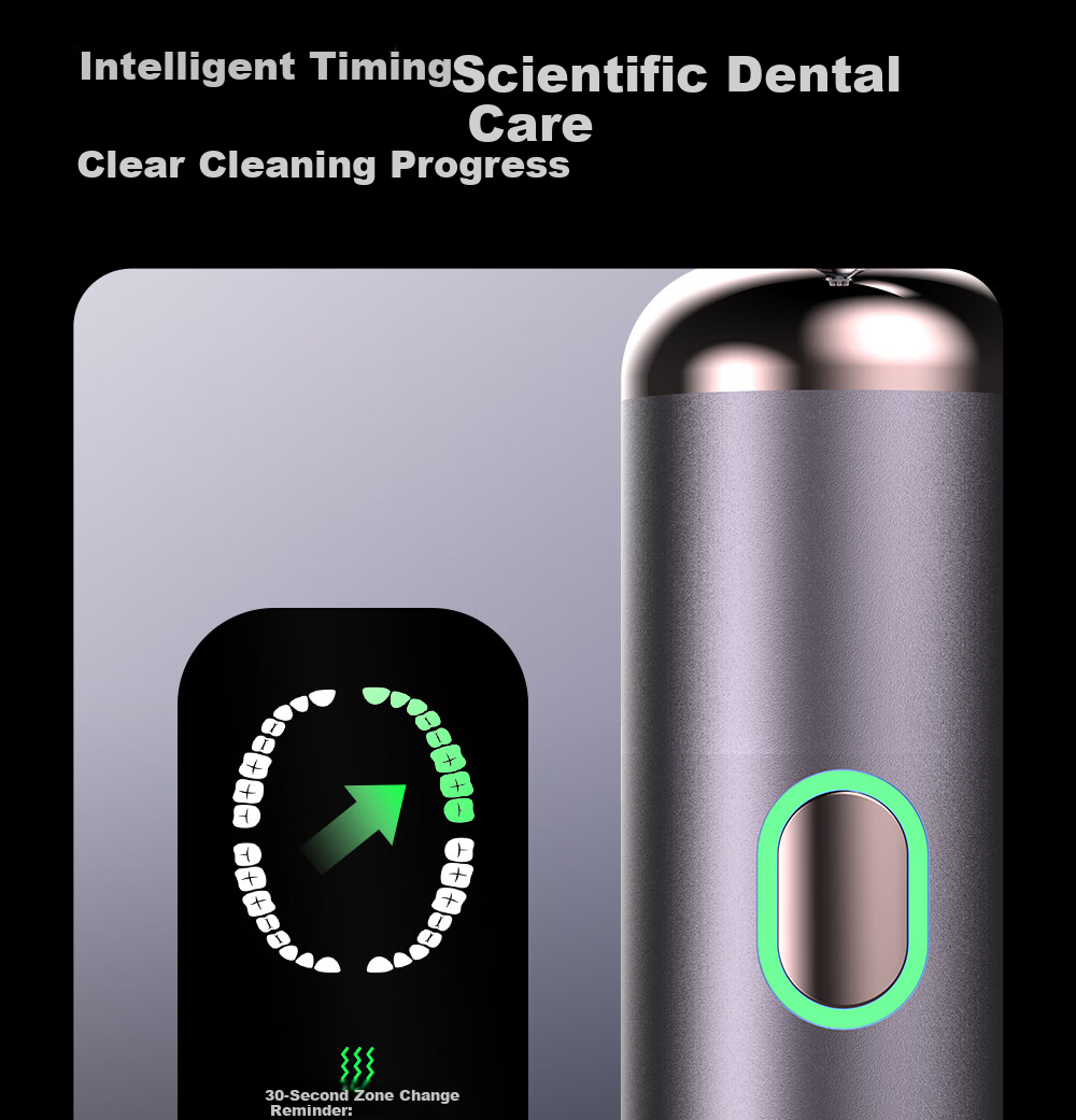 Prooral Sonic Vibration Electric Toothbrush for Adults Rechargeable Couples Gift LS-1 Silver Birthday Present 14