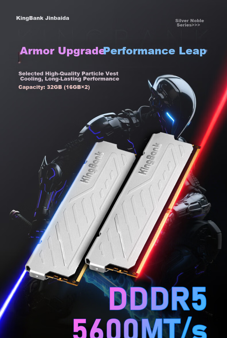 KINGBANK 48GB (24GBx2) DDR5 5600 Desktop Memory Silver Series Kit 1